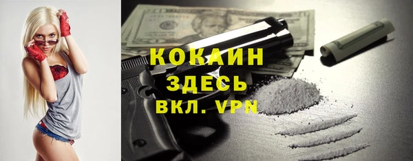 кокс Бородино