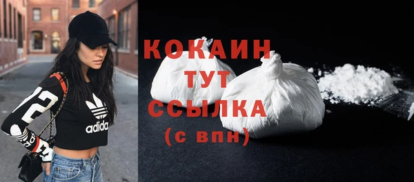 кокс Бородино