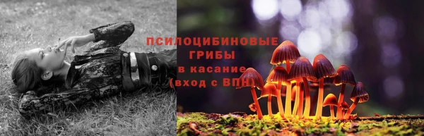 кокс Бородино